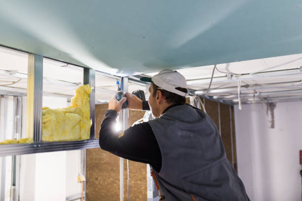 Best Garage Insulation Installation  in Brocton, NY
