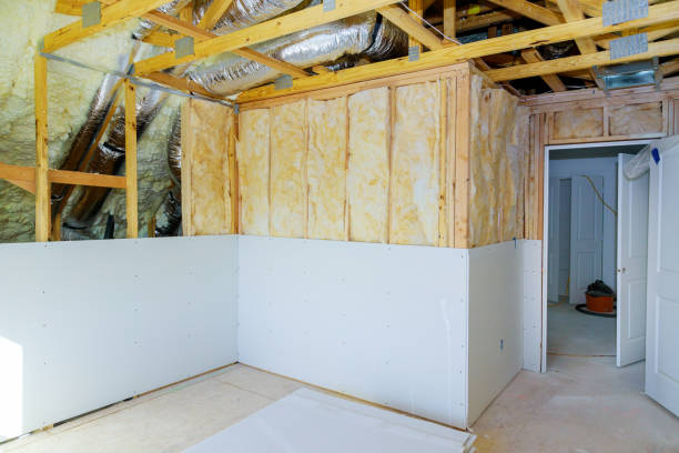 Best Professional Insulation Contractor  in Brocton, NY
