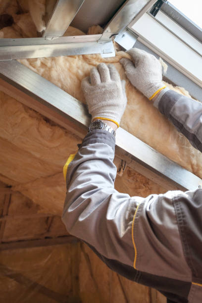 Best Crawl Space Insulation  in Brocton, NY