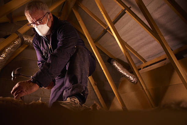 Best Affordable Insulation Services  in Brocton, NY