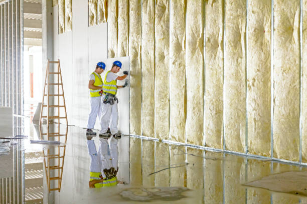 Best Fiberglass Insulation  in Brocton, NY